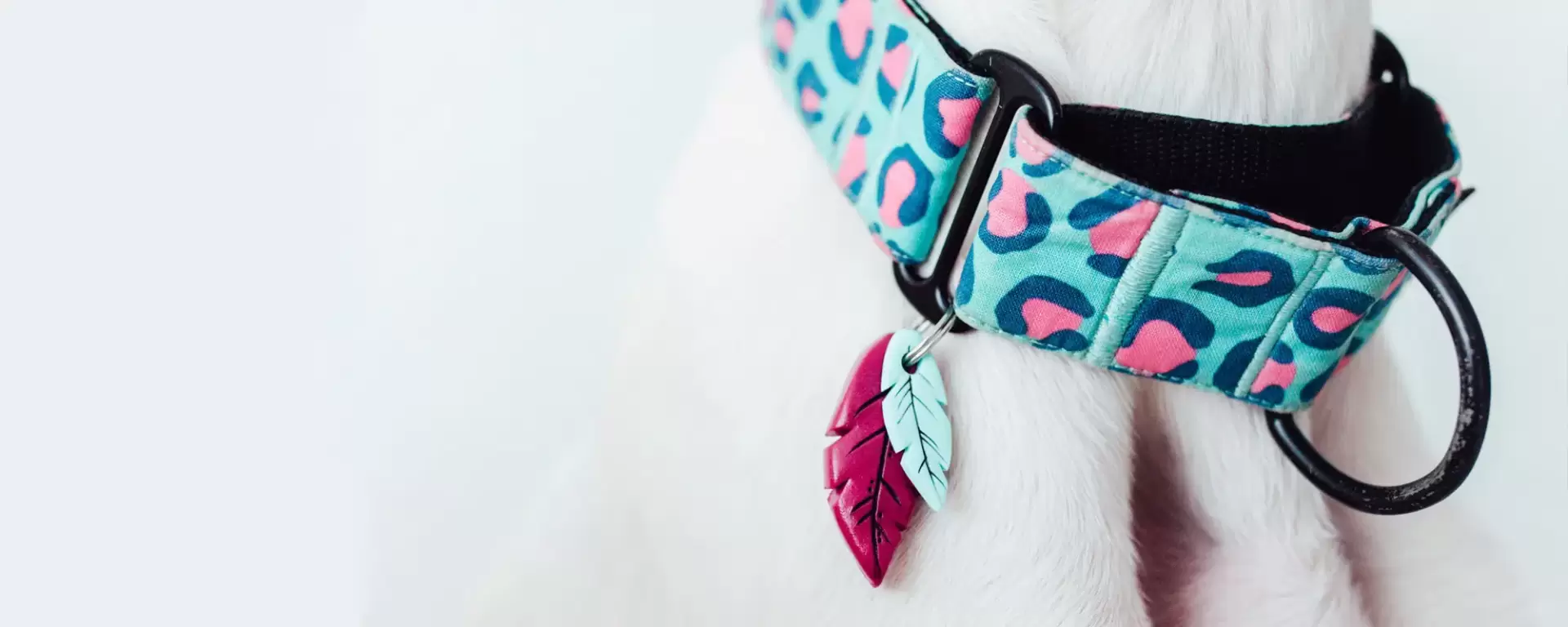 Imagen con cabecitas de mascotas hechas a mano Imagen con cabecitas de mascotas hechas a mano